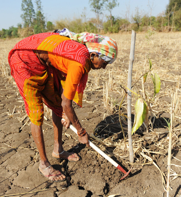 agri_issues
