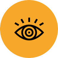 vision_icon